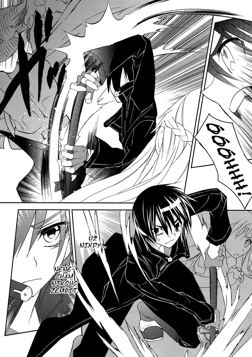 SAO_c05_016 kopie.png
